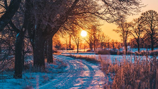 Solnedgång på vintern vid snötäckt kanal